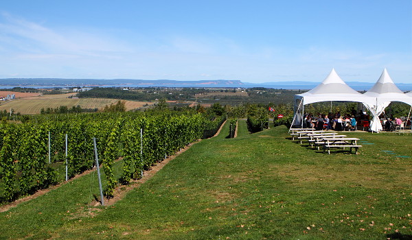 View from Luckett's Vineyard